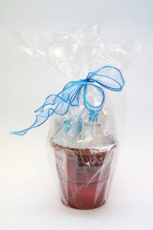 /products/la-roche-pece-o-mastnou-plet/